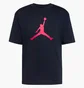 Футболка мужская Air Jordan Jumpman Black IR0340-010