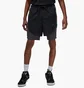 Шорты мужские Air Jordan Dri-Fit Sport Black DZ0573-010