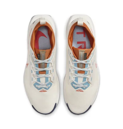 Кроссовки мужские Nike Pegasus Trail 5 Gore-Tex Beige FQ0908-003