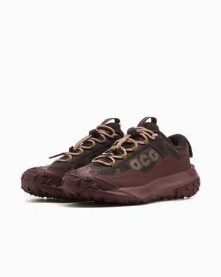 Кроссовки мужские Nike Acg Mountain Fly 2 Low Brown HF6245-200