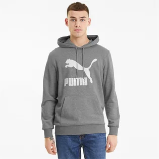 Худи мужское Puma Classics Logo Grey 530084-03