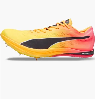 ᐉ Кроссовки мужские Puma Evospeed Nitro Elite+ Long Distance