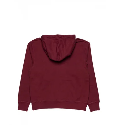 Худи мужское Air Jordan Wordmark Fleece Hoodie Bordo DV6463-645