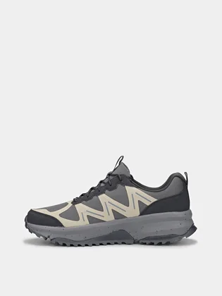 Кроссовки мужские Skechers Bionic Trail Grey 237680-CHAR