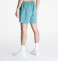 Шорти чоловічі Nike Acg Hiking Shorts Light Blue FN2430-338
