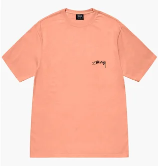 Футболка мужская Stussy Pigment Dyed Snake Peach 1905126-20117