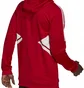 Кофта мужская Adidas Hooded Sweatshirt Con22 Tk Hood Red HG6312