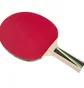 Ракетка для настольного тенниса Donic Top Teams 400 New Black/Red 715041