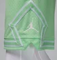 Шорты мужские Air Jordan Sport Dri-Fit Shorts Green HF9910-376