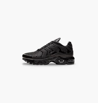 Кроссовки детские Nike Air Max Plus Black CD0610-001