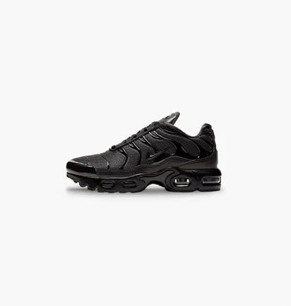 Кроссовки детские Nike Air Max Plus Black CD0610-001