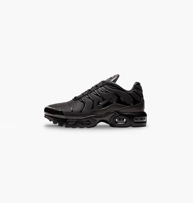 Кроссовки детские Nike Air Max Plus Black CD0610-001