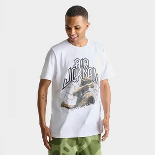 Футболка мужская Air Jordan Sport Dri-Fit Graphic T-Shirt White FN6016-100