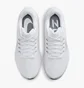 Кросівки чоловічі Nike Pegasus 39 Running Shoes White Dh4071-100