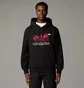 Худі чоловіче The North Face Clothing Sweatshirts U Mnt Black NF0A8DN7JK31