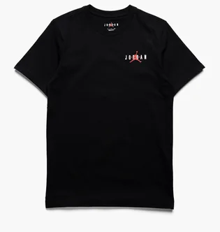 Футболка мужская Air Jordan Essentials Tee Black Dv8422-010