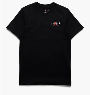 Футболка мужская Air Jordan Essentials Tee Black Dv8422-010