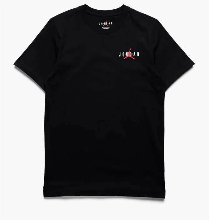 Футболка мужская Air Jordan Essentials Tee Black Dv8422-010