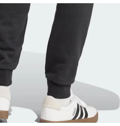 Штаны мужские Adidas Bl Ft Pt Black IN6163