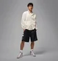 Шорты мужские Air Jordan Brooklyn Cat Black HV0560-013