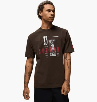 Футболка мужская Air Jordan M J Reissue Gx Ss Crew Brown HJ2356-010