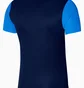 Футболка детская Nike Df Trophy V Jsy Blue DR0942-410
