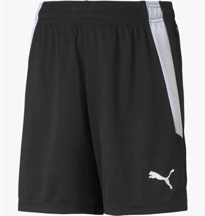 Шорты детские Puma Teamliga Black 704931-03