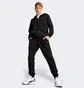 Спортивний костюм чоловічий Puma Hooded Sweat Suit Black 684855-01