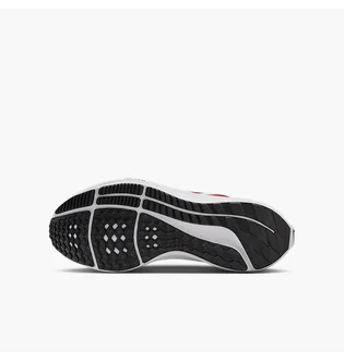 Кросівки дитячі Nike Air Zoom Pegasus 40 Gs Bordo DX2498-009