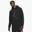 Худи мужское Air Jordan Essentials Black DC9713-010
