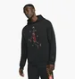 Худи мужское Air Jordan Essentials Black DC9713-010