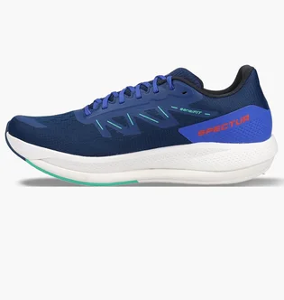 Кроссовки мужские Salomon Spectur Running Shoes Blue L41589900