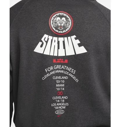 Худі чоловіче Nike Lebron Pullover Basketball Hoodie Grey DQ6129-032