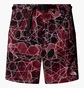 Шорты мужские The North Face Class V Pathfinder Bordo/Black NF0A8BHV61G