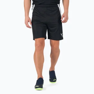 Шорти чоловічі Puma Teamliga Black 704924-03