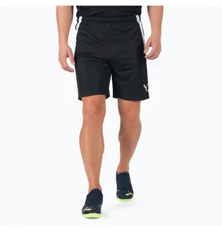 Шорты мужские Puma Teamliga Black 704924-03
