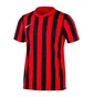 Футболка мужская Nike M Nk Df Strp Dvsn Iv Jsy Ss Red/Black Cw3813-658