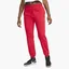 Штаны женские Air Jordan Essentials Red DN4575-687