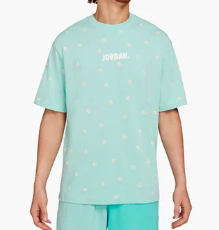 Футболка мужская Air Jordan M J Jmc Ss Ctn Aop Tee Turquoise CZ5185-382