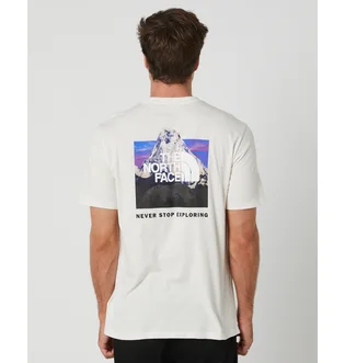 Футболка мужская The North Face Short-Sleeve Box Beige NF0A812HOFM