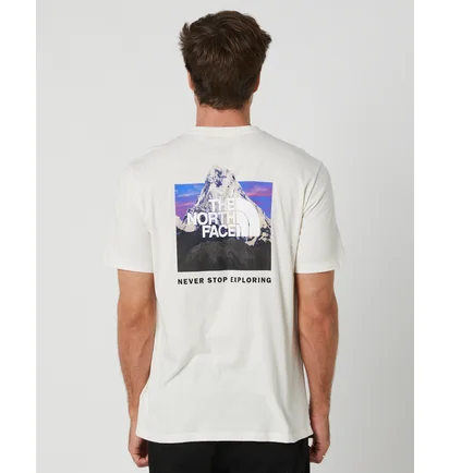 Футболка мужская The North Face Short-Sleeve Box Beige NF0A812HOFM