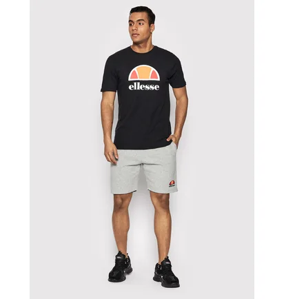 Футболка мужская Ellesse Dyne Tee Black SXG12736-011
