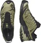 Кроссовки мужские Salomon Xa Pro 3D V9 Gtx Olive L47270400