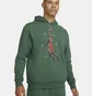 Худи мужское Air Jordan Essentials Green DC9713-333