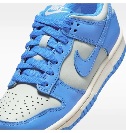 Кросівки дитячі Nike Dunk Low Blue/Grey FB9109-004