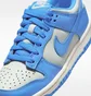 Кросівки дитячі Nike Dunk Low Blue/Grey FB9109-004