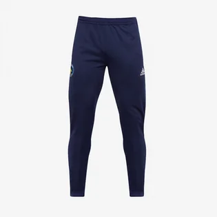 Штани чоловічі Adidas Solihull Moors 22/23 Adult Training Pants Blue HC0333