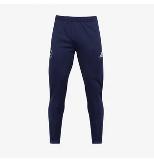 Штаны мужские Adidas Solihull Moors 22/23 Adult Training Pants Blue HC0333