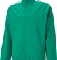 Олимпийка мужская Puma Teamliga Sideline Jacket Green 657259-005