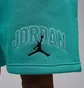 Шорти чоловічі Air Jordan Brk Lbr Gfx Turquoise IB7910-392